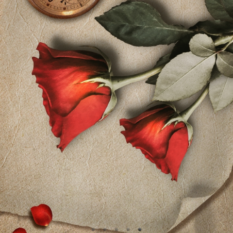 Qais Musa's profile image