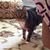 Mary Pyles's profile image