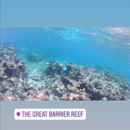 Elena's profile image