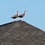 Sean Stickney's profile image