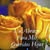 Libia Salinas's profile image