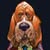 Michelle Blanchard's profile image
