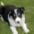 Sharon Eames's profile image