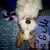 Debbie Kowal's profile image