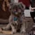 Max Burroughs's profile image