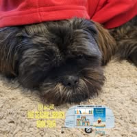 Tammy Johnson-March's profile image