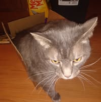 Pamela V Knepper's profile image