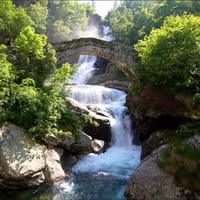 Karisa Josephson's profile image