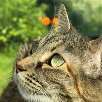 Denise Burgess's profile image