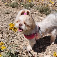 Carol Fox's profile image