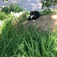 Vicki Mendoza's profile image