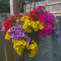 Kristine Blomgren's profile image