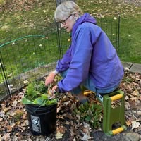 Elizabeth Bell's profile image