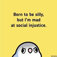 Karyn Prostrollo Cronin's profile image