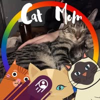 Kelly Ann's profile image