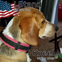 Dawn Jay's profile image