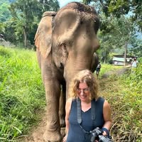 Lori Simon's profile image
