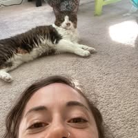 Morgan Ic's profile image