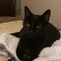 Mari Hubig's profile image