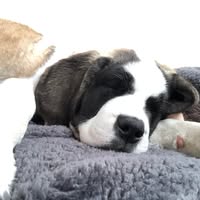 Amy Carter's profile image