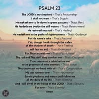 Linda Dounn's profile image