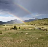 David Littlefield's profile image