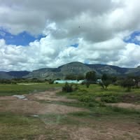 Alicia Vallez's profile image