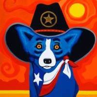 Matt Lawrence's profile image