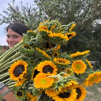 Carissa McAtee's profile image