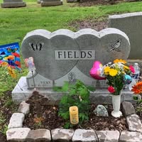 Vicky Fields's profile image