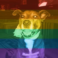Vi Berry's profile image