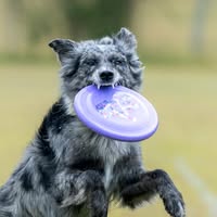 Liz McGuire's profile image