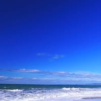 Gail Foy's profile image