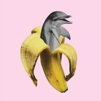 Linda Turner's profile image