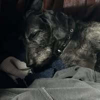 Reuben James's profile image