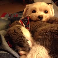 Julie Wasson's profile image