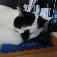 Terry Frame's profile image