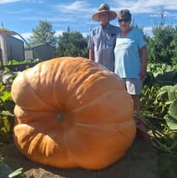 LuAnn Carrier Miller's profile image