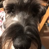 Julie Lawver Hebb's profile image
