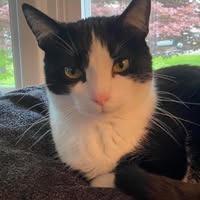 Laura Clark's profile image