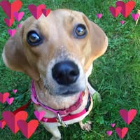 Heather Lynn's profile image