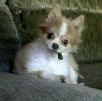 Stacey Dorman's profile image