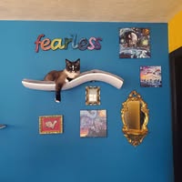 Jaimie Swartz's profile image