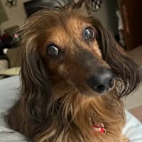 Beth Sharman's profile image