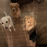 Andrea Martin's profile image