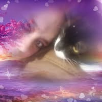 Nancy Harrold's profile image