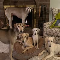 Stephanie Gamble's profile image