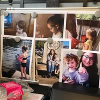 Kelly Moyer's profile image