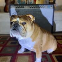 Jamie Kidwell's profile image