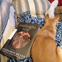 Deborah Stolfa's profile image